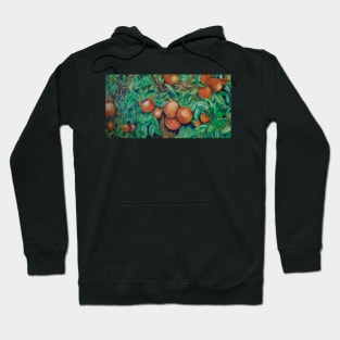 THE ORANGE BUSH AT ROSSER PARK Hoodie